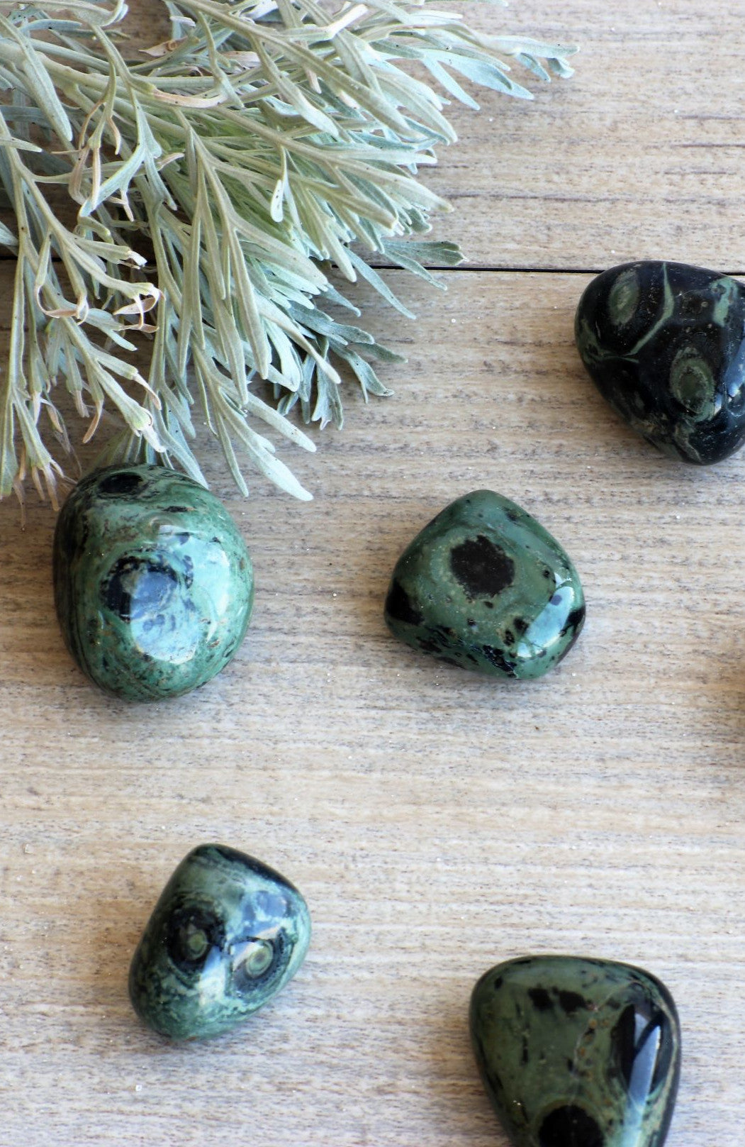 Kambaba Jasper Tumbled Stone